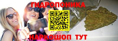 амф Владикавказ