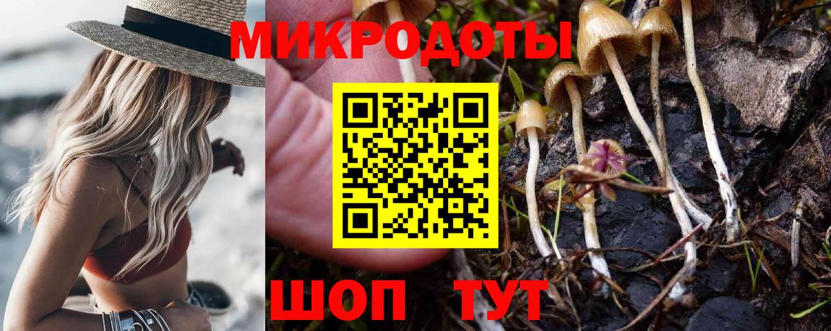 Галлюциногенные грибы Psilocybe  Вход с VPN  Вязники 