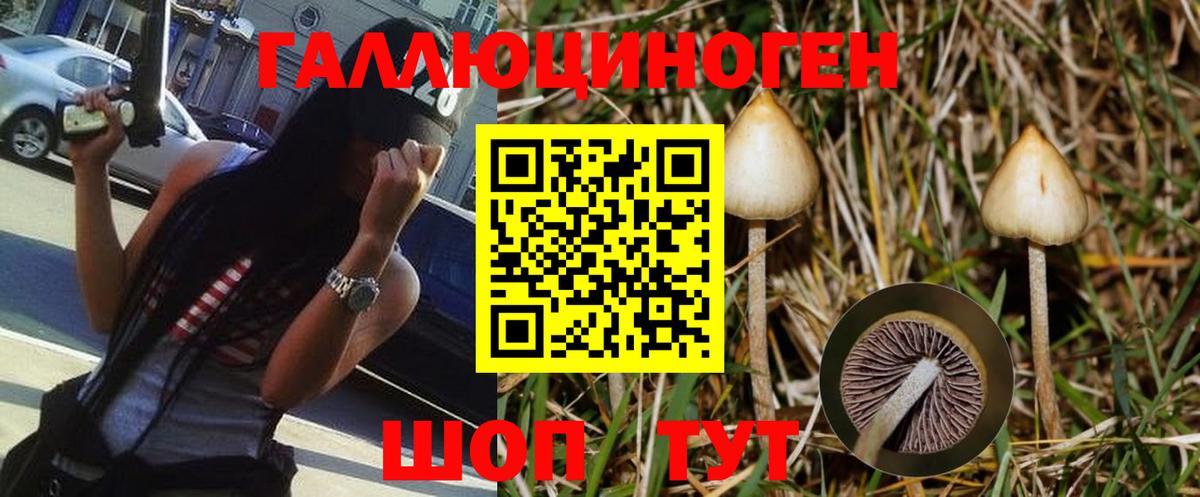 Галлюциногенные грибы ЛСД Вязники